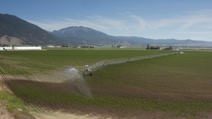Package: Aerial of Irrigation Pivot on Oregon Potato field