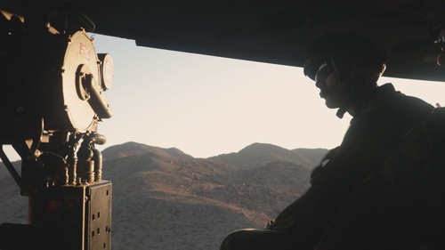 Marines Partner with State and Federal Agencies for Endangered Desert Bighorn Sheep