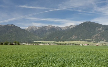 Package: Aerial of Oregon Wheat Field