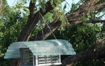USDA led Ground Release Chamber Operations Support New World Screwworm Response in San Angelo, Texas, June 17, 2026.