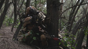 25th Infantry Division Conducts Air Assault and Urban Operations Training