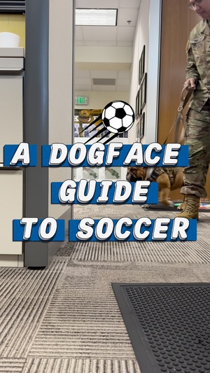 Rocky learns the rules to soccer
