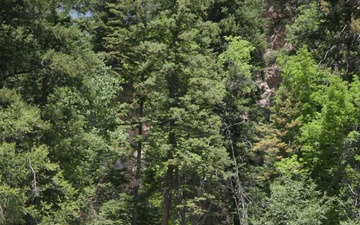 Hanging Lake and Spouting Rock Natural Video (9x16)