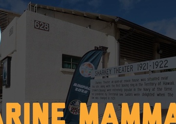 U.S. Navy hosts Marine Mammal Training Lookout for RIMPAC partnered forces