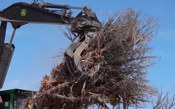 Juniper Removal Project Processing Juniper into Biomass (B-Roll)