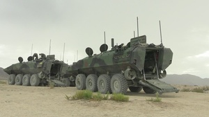 B-Roll: U.S. Marines with 3d AA Bn. participate in live-fire range