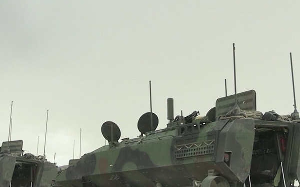B-Roll: U.S. Marines with 3d AA Bn. participate in live-fire range