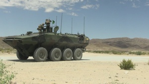 B-Roll: U.S. Marines with 3d AA Bn. participate in live-fire range