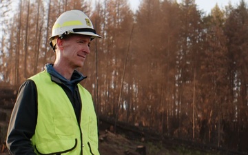 Post-Fire Timber Harvesting on Boise National Forest