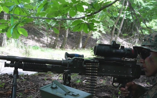 Fuji Viper 26.3 | U.S. Marines Conduct a Patrol Exercise