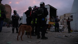 K-9 and Miami-Dade USAR Team Search For Survivors