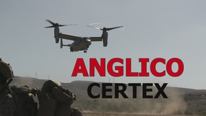 1st Air Naval Gun Liaison Company conducts certification exercise