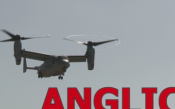 1st Air Naval Gun Liaison Company conducts certification exercise