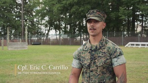 MCAS Beaufort K9 Explosive Detection Test