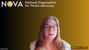 The Professional Advocate: Ethics and Practice