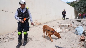 K-9 Unit and Miami-Dade USAR Team Search in Venezuela