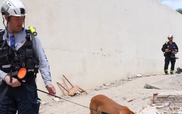 K-9 Unit and Miami-Dade USAR Team Search in Venezuela