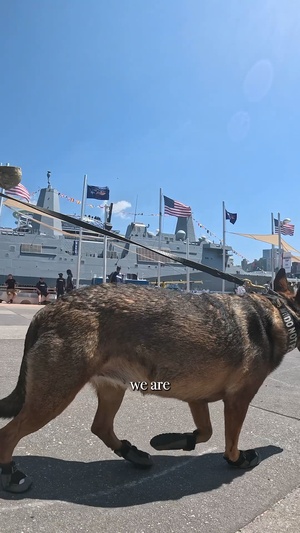 U.S. Coast Guard Tug of War POV Sail 250