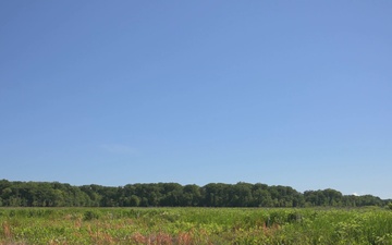 Mentor Marsh Flowering Rush Treatment