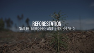 Reforestation: Nature and Nurseries [No Music]