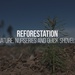 Reforestation: Nature and Nurseries [No Music]