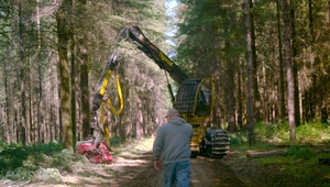 Oregon Wood Products (B-Roll)