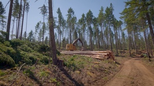 Oregon Wood Products (B-Roll)