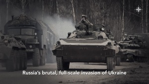 NATO’s support to Ukraine (mastersubs)