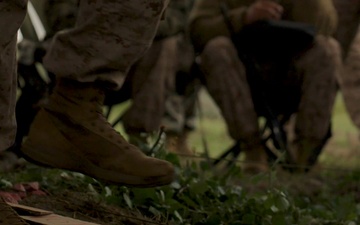 U.S. Marines, allied forces conduct combined arms live fire exercise during Sea Breeze 26 in Romania