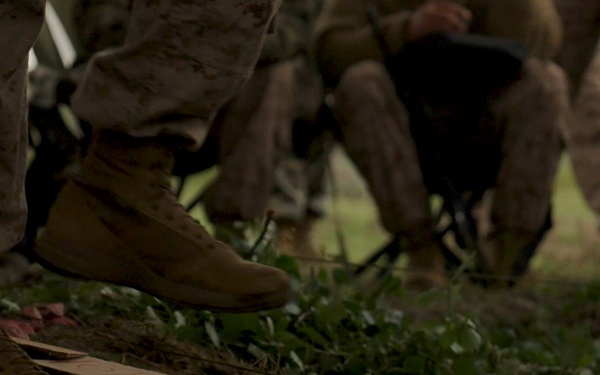 U.S. Marines, allied forces conduct combined arms live fire exercise during Sea Breeze 26 in Romania