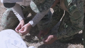 B-Roll: Multinational explosive ordnance disposal technicians train during RIMPAC 26