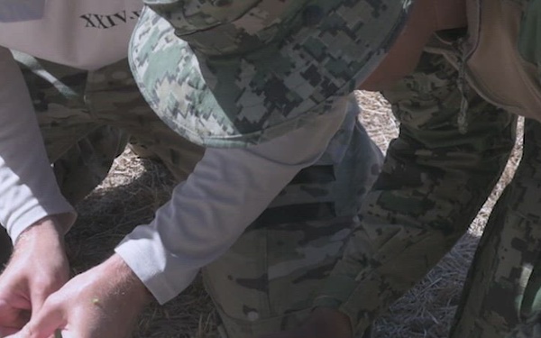 B-Roll: Multinational explosive ordnance disposal technicians train during RIMPAC 26