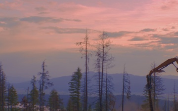Timber Processing Operations on the Boise National Forest (B-Roll)