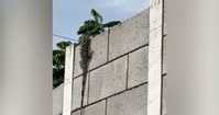 Arkansas National Guard Build Strong foundations with the Guatemala Army