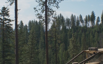 Dangle Head Timber Processing on the Boise National Forest (B-Roll)