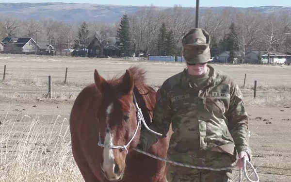 Exercise High Plains Thunder- training with horses