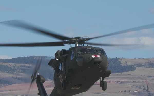 Exercise High Plains Thunder- K9 air Medivac