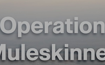 Operation Muleskinner Trailblazer III