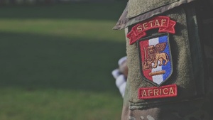 SETAF-AF COC clean copy