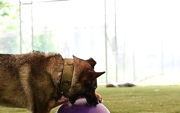 MWD Ezster retires from Barksdale AFB