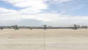 HMLA-169 Conducts Flight Operations