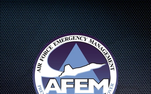 Air Force Mask Inspection and Repair Program -- the Process
