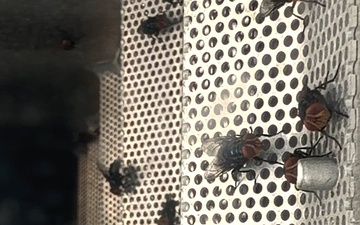Texas Military Department: New World Screwworm Aerial Dispersal Operations Highlight Reel