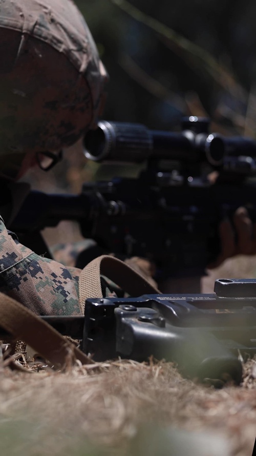 Alpha Company Conducts WARFEX (REEL)