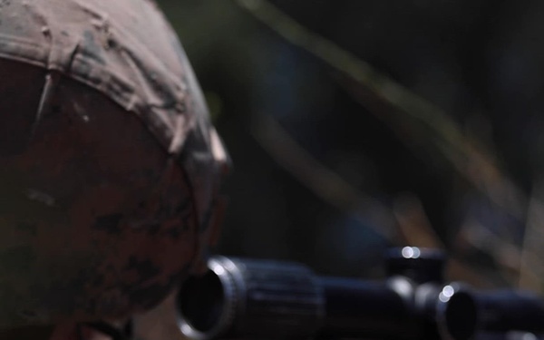 Alpha Company Conducts WARFEX (REEL)