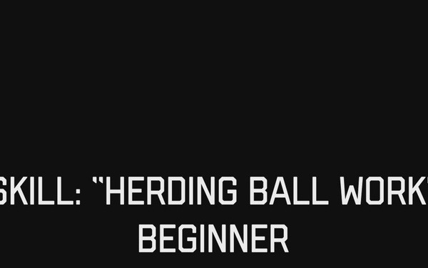 Herding Ball Work Proficient