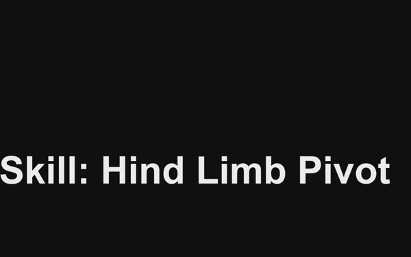 Hind limb pivot