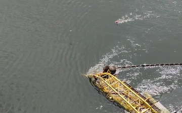 Coast Guard responds to crane collapse in Cooper River