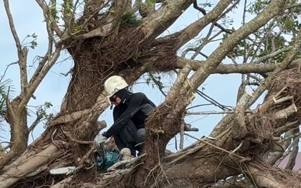 USAG Okinawa DPW clears Typhoon Bavi debris