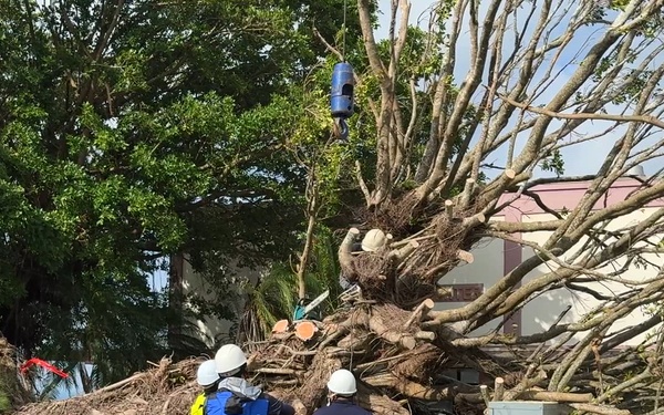 USAG Okinawa DPW clears Typhoon Bavi debris